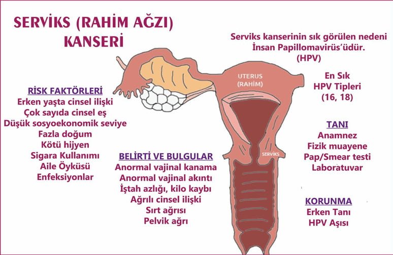 Kadın sağlığı deyince: Önce farkındalık - Resim : 3